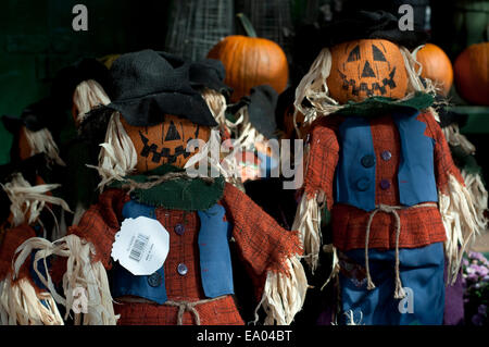 Épouvantail s'affiche pendant un Halloween, festival de la citrouille. Staten Island. New York. USA. Cueillette de citrouilles à Decker machi agricole Banque D'Images