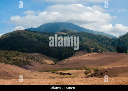 Le mont Mutis (2,427 mètres au-dessus du niveau de la mer) au Timor Central Sud, sur l'île du Timor, est le point le plus élevé de la province de Nusa Tenggara est, en Indonésie. Banque D'Images