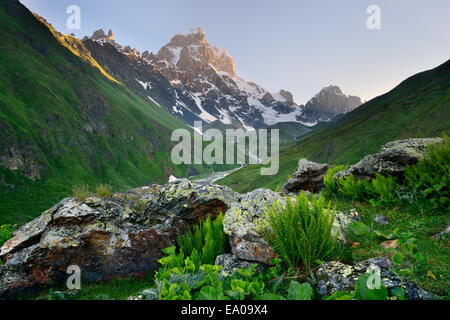 Vallée et Ushba pic de montagne, Svaneti, Géorgie Banque D'Images