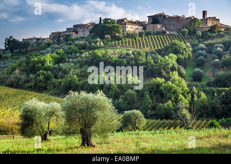 Vue d'un petit village de Toscane Banque D'Images