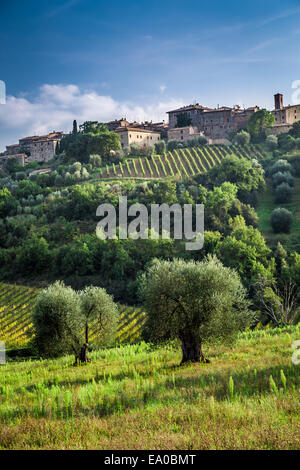 Vue d'une petite ville avec des vignes et des oliviers Banque D'Images