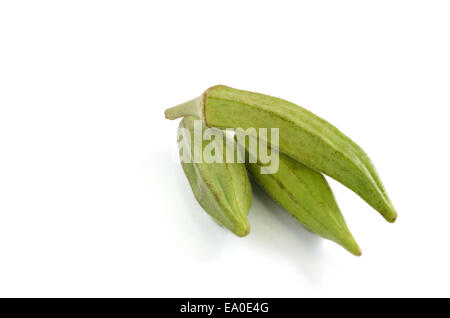 L'okra isolé sur fond blanc Banque D'Images