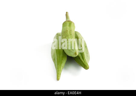 Roselle et Okra isolé sur fond blanc Banque D'Images