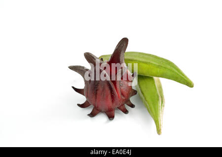 Roselle et Okra isolé sur fond blanc Banque D'Images