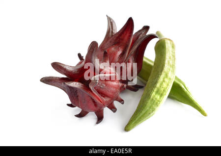 Roselle et Okra isolé sur fond blanc Banque D'Images