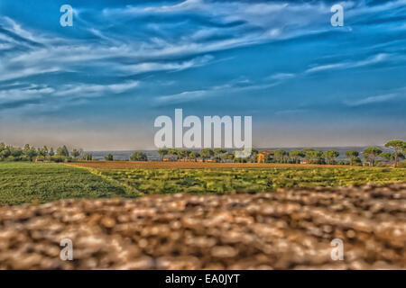 Des fleurs, des mauvaises herbes vertes, de feuilles, de plantes et d'arbres sur les vignes cultivées sur des collines en campagne italienne la petite vil Banque D'Images