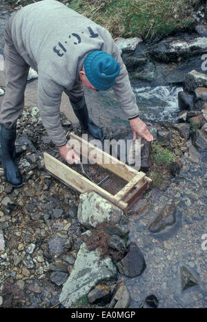 L'occasion de chercher de l'or dans une gravure écossais près de Leadhills dans Dumfriesshire Banque D'Images