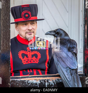 Raven était assis à regarder un Yeoman Warder à la Tour de Londres, Londres, Angleterre, Europe. Banque D'Images