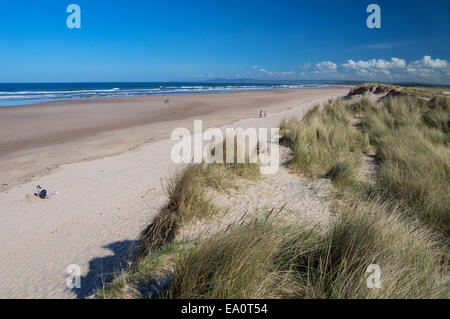 Plage de dunes Lossiemouth, Moray, Ecosse, Highland Banque D'Images