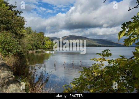 Matin sur le Loch Lomond, à au nord de Duck Bay, Ecosse, Royaume-Uni Banque D'Images