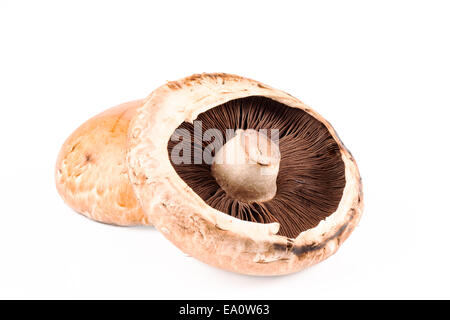 Champignons Portabello Banque D'Images