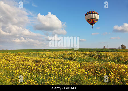 Un ballon sur le terrain Banque D'Images