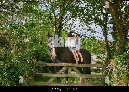 Portrait de trois garçons à cheval horse au field gate Banque D'Images