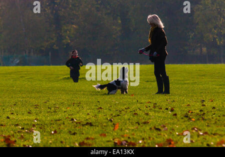 Londres, Royaume-Uni. 5 novembre, 2014. Météo britannique. Après une nuit, riny londoniens service d'inégales du matin comme les feuilles d'automne annoncent l'approche de l'hiver, certains prévisionnistes à prévoir des conditions extrêmes. Photo : Une femme joue avec son spaniel à Regents Park. Crédit : Paul Davey/Alamy Live News Banque D'Images