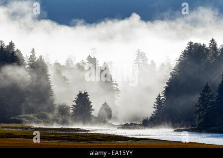 Un matin tôt de la brume s'élève de la rivière et forêt côtière de la forêt nationale de Tongass dans le sud-est de l'Alaska, USA. Banque D'Images