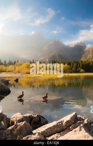 L'automne est à venir dans les Alpes italiennes Banque D'Images