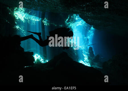 Silhouette d'un plongeur dans un cenote Banque D'Images