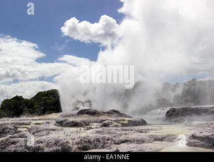 Réserve thermale de Whakarewarewa zone geyser Banque D'Images