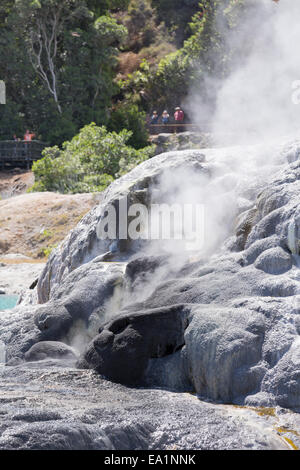 Réserve thermale de Whakarewarewa zone geyser Banque D'Images