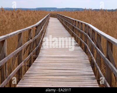 Wooden path à la Federsee Banque D'Images