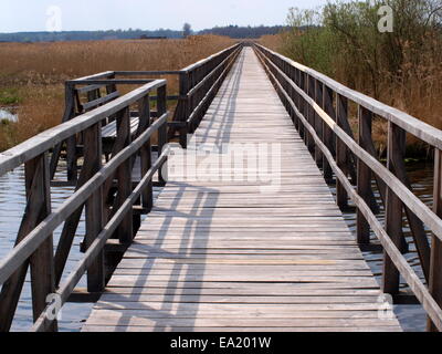 Promenade à la Federsee en Allemagne Banque D'Images