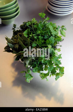 Bande d'herbes vert frais - persil frisé, persil plat, le laurier et le romarin dans une école de cuisine UK Banque D'Images