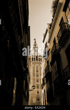 La Giralda est un ancien minaret qui a été converti en un clocher de la Cathédrale de Séville à Séville. Banque D'Images