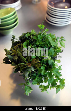 Bande d'herbes vert frais - persil frisé, persil plat, le laurier et le romarin dans une école de cuisine UK Banque D'Images