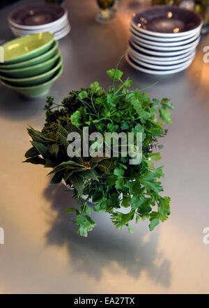 Bande d'herbes vert frais - persil frisé, persil plat, le laurier et le romarin dans une école de cuisine UK Banque D'Images