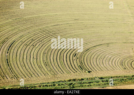 Vue d'un champ de luzerne étant coupé et séché pour être mis en balles. Banque D'Images