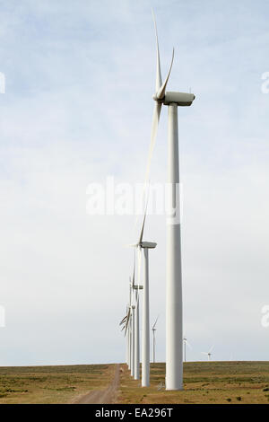 Une rangée de écologique d'éoliennes Banque D'Images