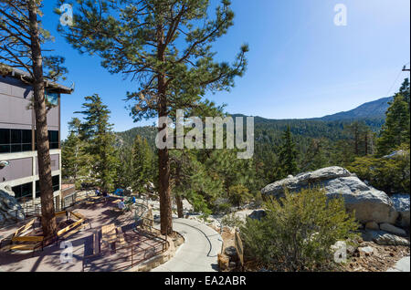 Vue sur terrasse et pique-nique sur le Mont San Jacinto State Park en haut de le Tramway Aérien de Palm Springs, Californie, USA Banque D'Images