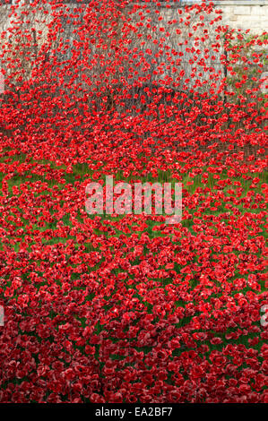 Tour de Londres 2014 exposition art coquelicots Banque D'Images