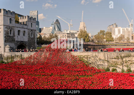 Tour de Londres 2014 exposition art coquelicots Banque D'Images