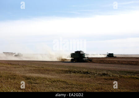 Moissonneuses-batteuses John Deere la récolte sur les prairies de la Saskatchewan Canada Banque D'Images