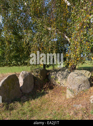 Tombe mégalithique près de Sassnitz, Rügen, 1, l'Allemagne, de l'Europe Banque D'Images