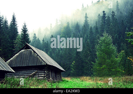 Petite vieille maison en bois dans la forêt brumeuse. Montagnes paysage. La nature de l'image conceptuelle. Banque D'Images