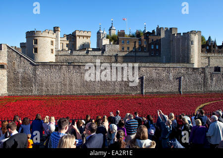 Londres, Royaume-Uni - 28 octobre 2014 : La fonction affichage de la plaque de la "Coquelicots terres et mers de sang a balayé d'une installation Red' Banque D'Images