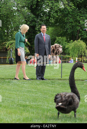 Canberra, Australie. Nov 6, 2014. L'ambassadeur chinois en Australie MA Zhaoxu (R) et l'Australie Territoire de la capitale (LOI) Ministre principal Katy Gallagher visiter le jardin de Beijing à Canberra, Australie, le 6 novembre 2014. Le jardin est un cadeau par la Municipalité de Beijing à Beijing ville soeur de Canberra, Australie. © Justin Qian/Xinhua/Alamy Live News Banque D'Images