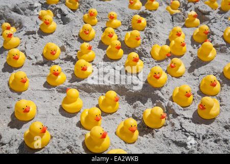 Canards en caoutchouc massés sur la plage. Banque D'Images