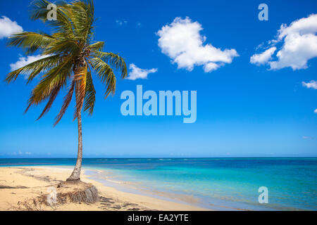 Plage El Portillo, Las Terrenas, Péninsule de Samana, République dominicaine, Antilles, Caraïbes, Amérique Centrale Banque D'Images