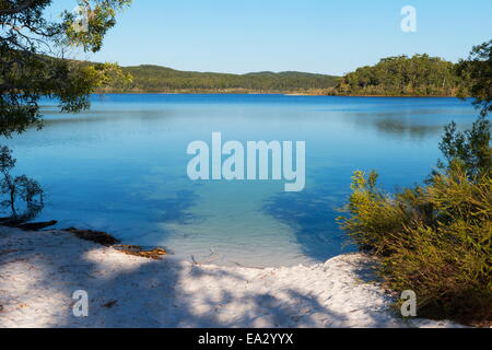 Le Lac McKenzie, Fraser Island, UNESCO World Heritage Site, Queensland, Australie, Pacifique Banque D'Images