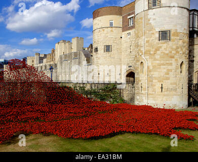 Les terres et les mers de sang ont balayé de rouge l'installation à la Tour de Londres, la Tour de Londres, l'UNESCO Place, London, England, UK Banque D'Images