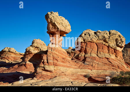 Les formations de grès, Coyote Buttes Wilderness, Vermilion Cliffs National Monument, Arizona, USA Banque D'Images