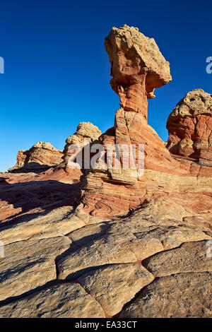 Les formations de grès, Coyote Buttes Wilderness, Vermilion Cliffs National Monument, Arizona, USA Banque D'Images