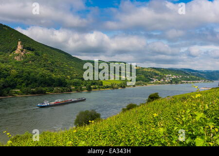 Cargo passant Château Sooneck sur le Rhin, à Niederheimbach. Du Rhin supérieur, l'UNESCO Site, Hesse, Allemagne Banque D'Images