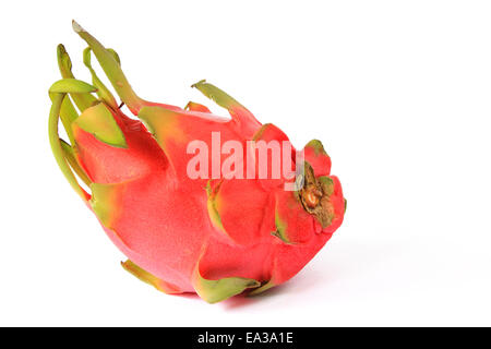 Fruit du dragon (Hylocereus undatus) Banque D'Images