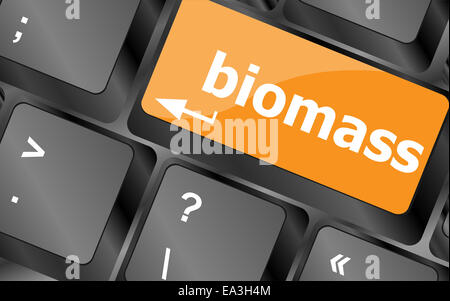 Les touches du clavier avec le bouton Mot de la biomasse Banque D'Images