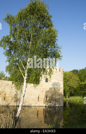 Veynau château, Euskirchen-Wisskirchen, Allemagne Banque D'Images