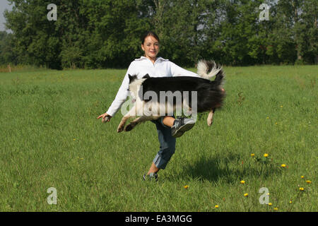 Chien saute par dessus la jambe Banque D'Images